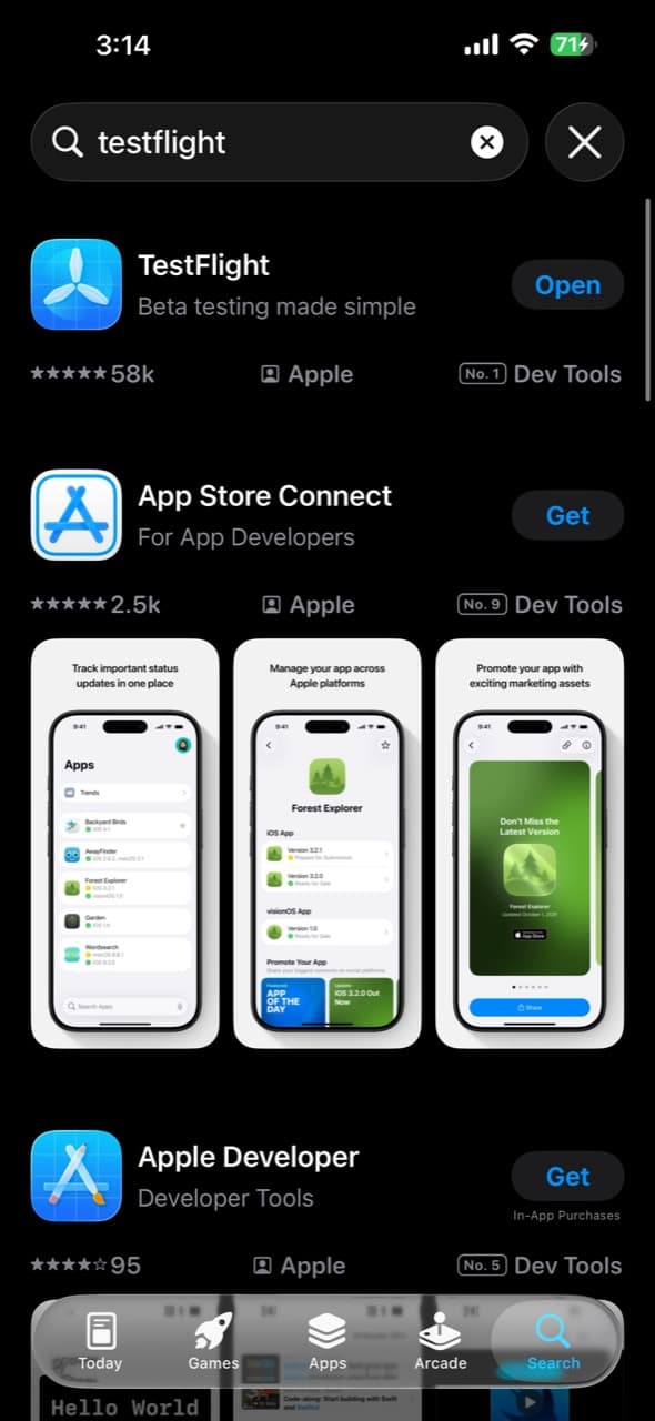 App Store에서 TestFlight를 검색한 화면